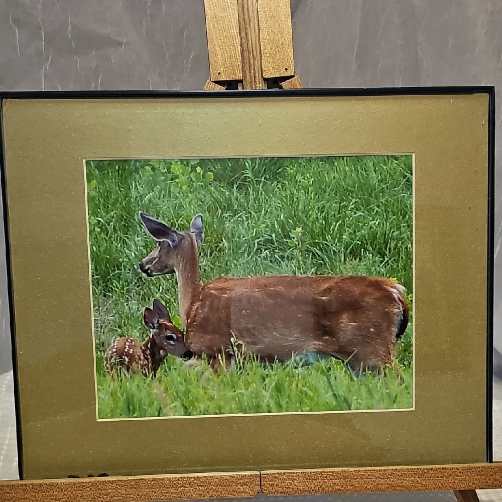 Pair Of Framed Wildlife Art Prints - Deer And Crane.